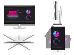 Dell IPS Monitor